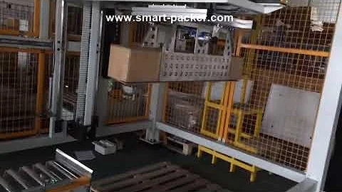XYZ type robot type long carton box palletizing machine auto palletizer equipment