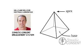 Somatic Consent Engagement System Map