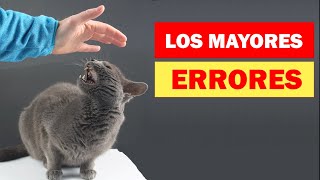 Los 20 errores más comunes que cometen los dueños de los gatos by Hechos Sorprendentes 30,126 views 1 year ago 10 minutes, 39 seconds