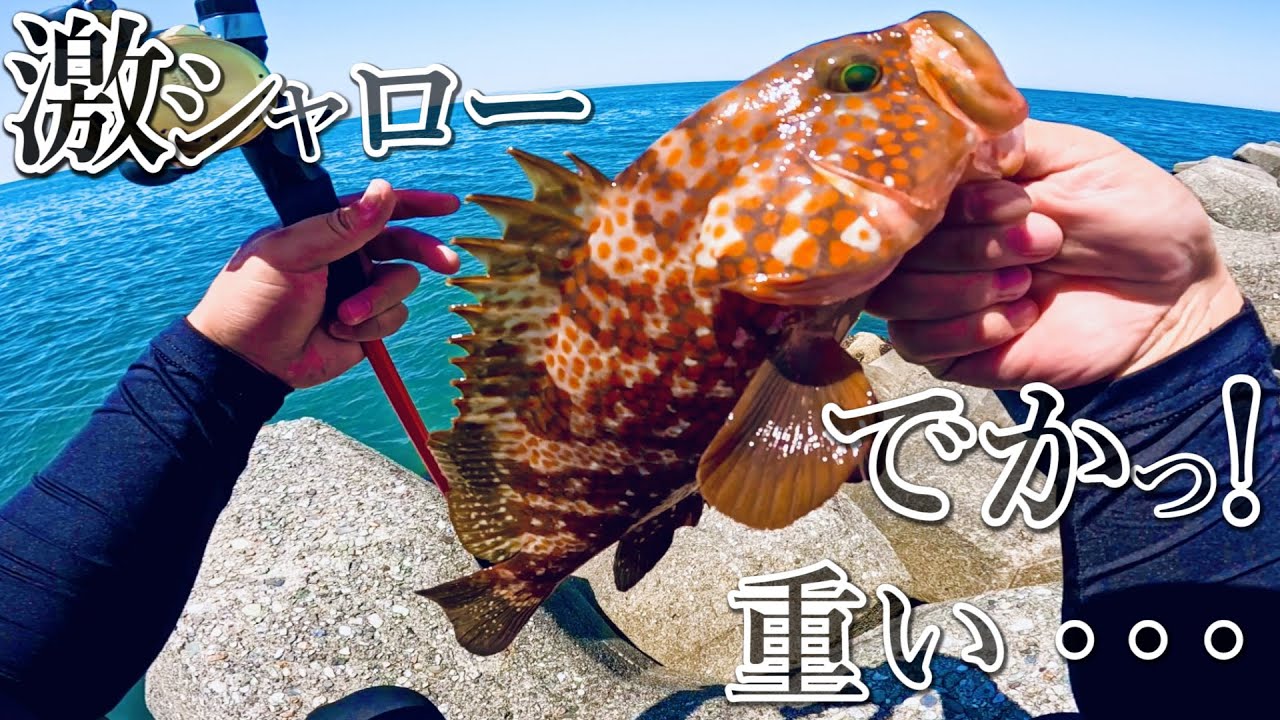 【穴釣り】劣悪なコンディションで釣れた貴重な1匹