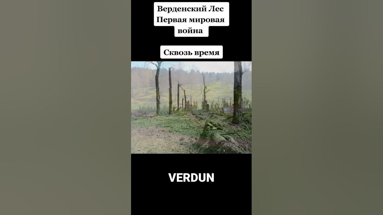 🇫🇷Верденская мясорубка (Verdun battle) - YouTube