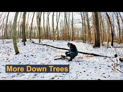 Down Trees Blocking the Road to the Cabin...AGAIN - YouTube