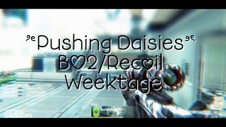 “Pushing Daisies” BO2/Recoil Weektage 🖤 by Nero @TexS197