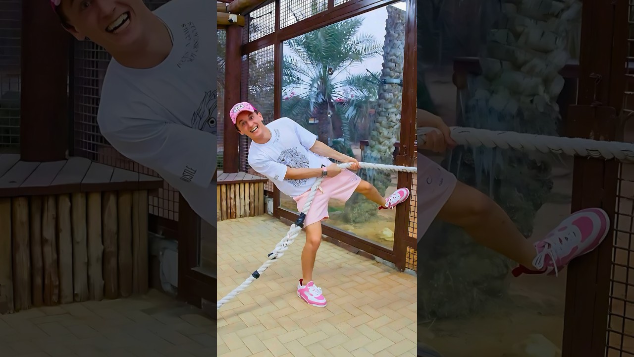 Lil Mabu vs. Lion: A Dubai Wildlife Adventure! 