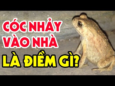 Video: Tử Vi động Vật Slavic: ếch (cóc)