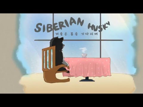 겨울은 봄을 기다리며 Music Video (Official) - 시베리안허스키