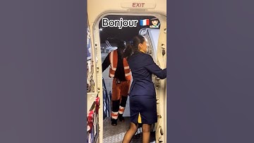 The Best Flight Attendant!