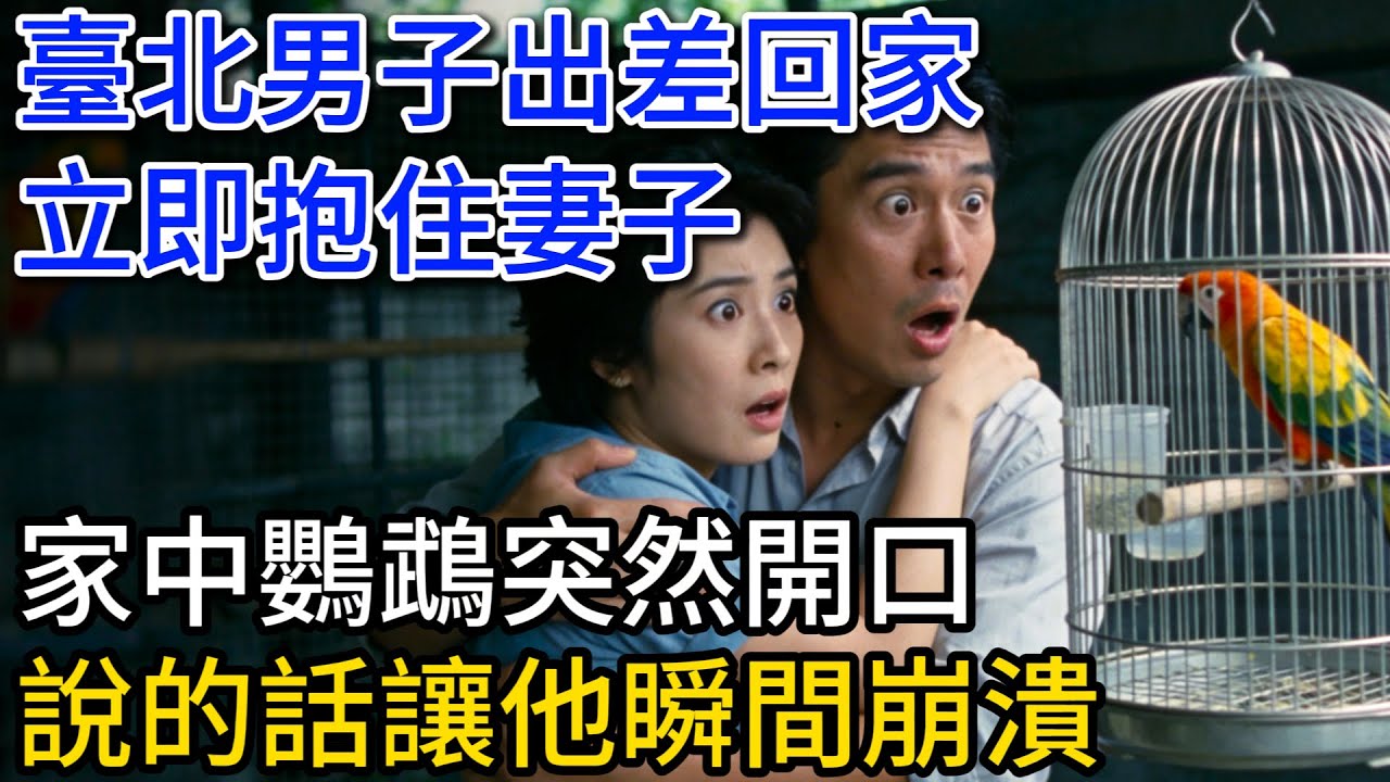 臺北男子出差回家，迫不及待抱住妻子，家中鸚鵡突然開口，說的話讓他瞬間崩潰