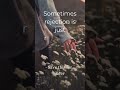 REJECTION IS GOD REDIRECTIO 🙏 #motivationalshorts #neverlosefaith #viralshortsvideo #viralvideo