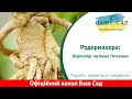 Родермахера: Відповіді на Ваші Питання. Ваш сад