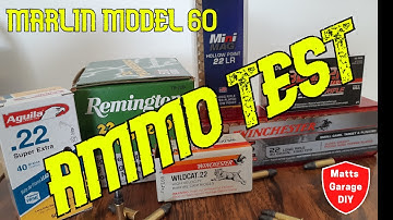 Marlin Model 60 Ammo Test - which is best