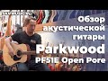 Обзор акустической гитары Parkwood PF51E Open Pore | SKIFMUSIC.RU