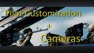 F-14B(U) - Character Customization Options and Cameras