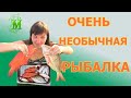 Рыбалка и жемчуг  | Оман | отдых в ОАЭ и очень необычная