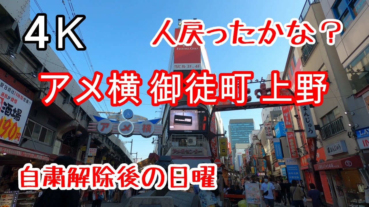 4k アメ横ガード下飲み屋街 ぶらぶら散歩 御徒町 上野 上中 御徒町駅前通り 摩利支天 Ameyoko Okachimachi Ueno Youtube