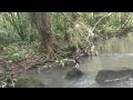 To partrol the forest - VIETNATURE #tuantrarung #vietnamforest #vietnature #partrolthefores