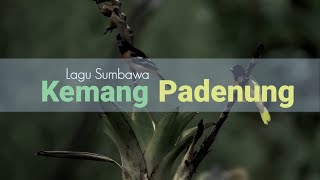 Lirik Lagu Sumbawa Sedih - Kemang Padenung