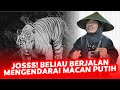 JOKO KENDIL | MACAN PUTIH ❓❗😰 JALANNYA EMANG CEPET BANGET, APAKAH...❓❓❓