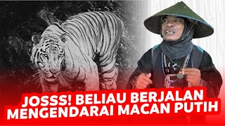 JOKO KENDIL | MACAN PUTIH ❓❗😰 JALANNYA EMANG CEPET BANGET, APAKAH...❓❓❓