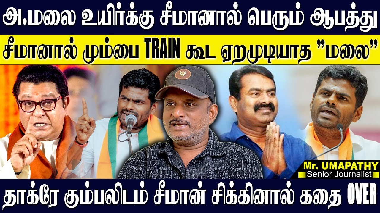 அண்ணாமலை உயிருக்கு ஆபத்தை உண்டாக்கிய சீமான்...சீமானை தேடும் தாக்ரே குரூப்! UMAPATHY | SEEMAN | NTK