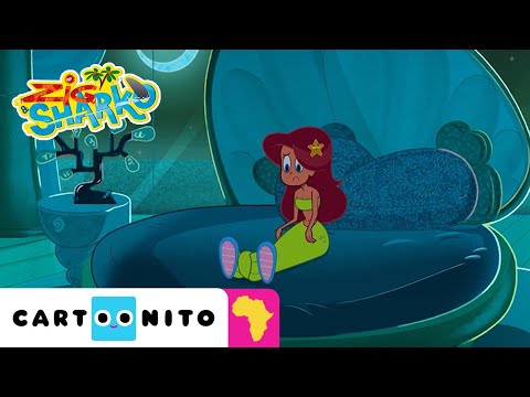 Shoe Wish | Zig & Sharko | Cartoonito Africa
