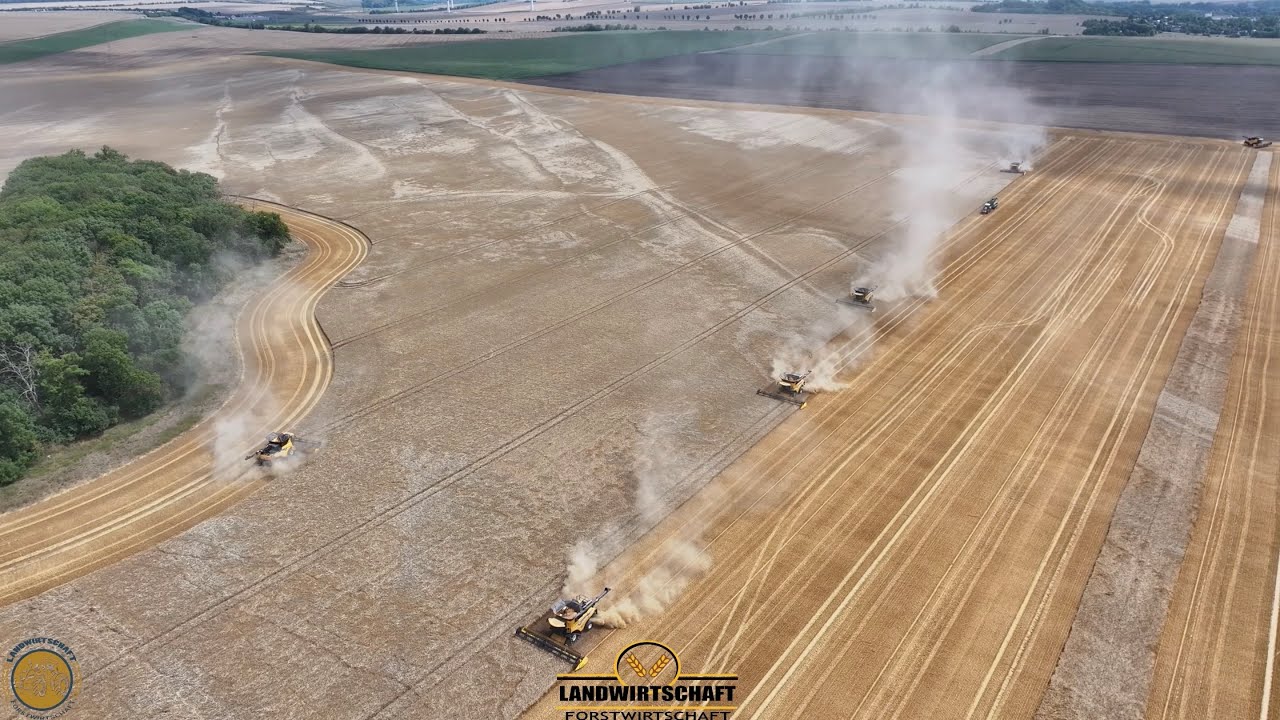 Der Regen Kamm zu schnell… Hier bebt die Erde 8 Mähdrescher im Großeinsatz Getreideernte Gerste 