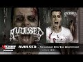 Capture de la vidéo Avulsed - Yearning For The Grotesque (Full Abum) [2003-2023]