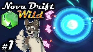 PROPULSIVE MADNESS || WILD METAMORPHOSIS Let's Play Part 1 (Blind) || NOVA DRIFT Gameplay