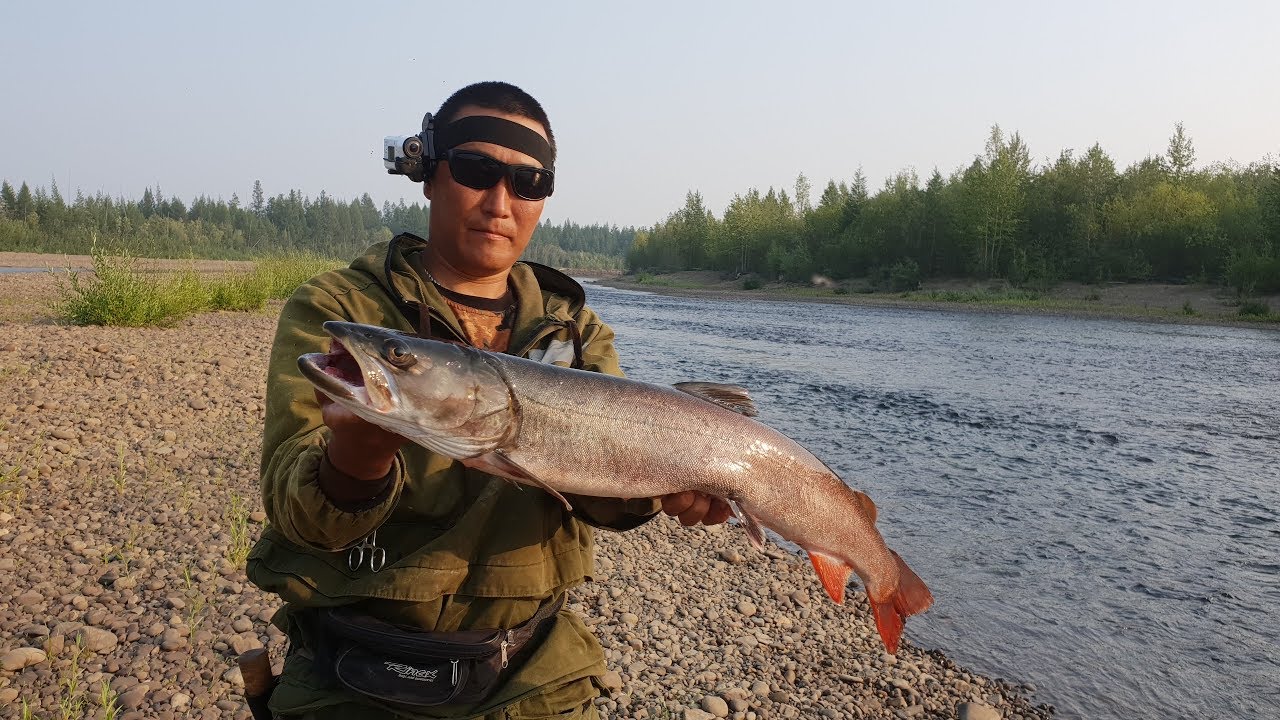 Наконец я поймал &quot;Царя рек&quot;! Якутия Yakutia