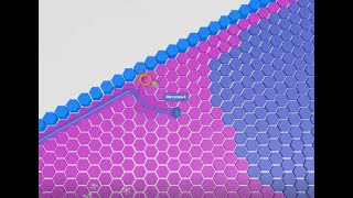 Hexanaut.io - 16 kills