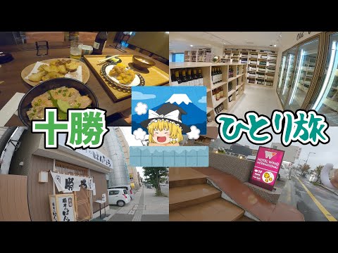 【十勝一人旅】帯広市と池田町へ！！グルメ・ホテル・観光スポットを紹介！【ゆっくり旅行】北海道観光地巡りひとり旅part4・池田ワイン城・豚丼のぱんちょう・アサヒ湯・ホテルウィングインターナショナル千歳