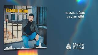 İsmail Uğur - Ceylan Gibi (Audio Video)