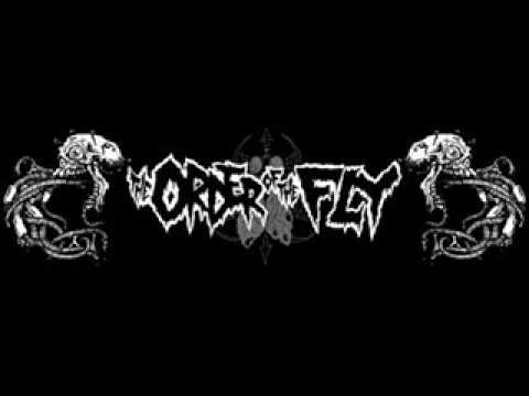 Punk music video thumbnail preview for The Order of the Fly - The Urge to Self Destruct, Part 2