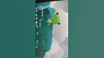 Google weather frog on nest hub part something