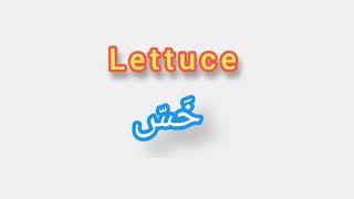 '' Lettuce ..  ترجمة كلمة انجليزية الى العربية - '' خس