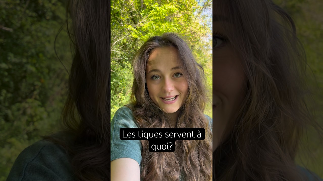 À quoi servent les tiques ? #tique #nature