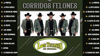 Los Tucanes De Tijuana - Corridos Felones Serie 35 | Sus Mejores Canciones ( Album Completo )#11