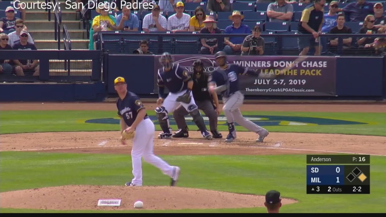 Meet the Amarillo Sod Poodles