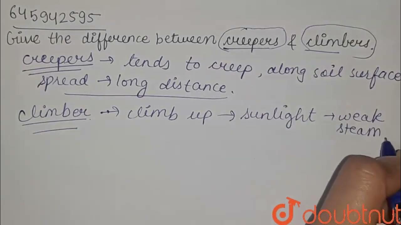 Give the difference between creepers and climbers. CLASS 6 PLANTS