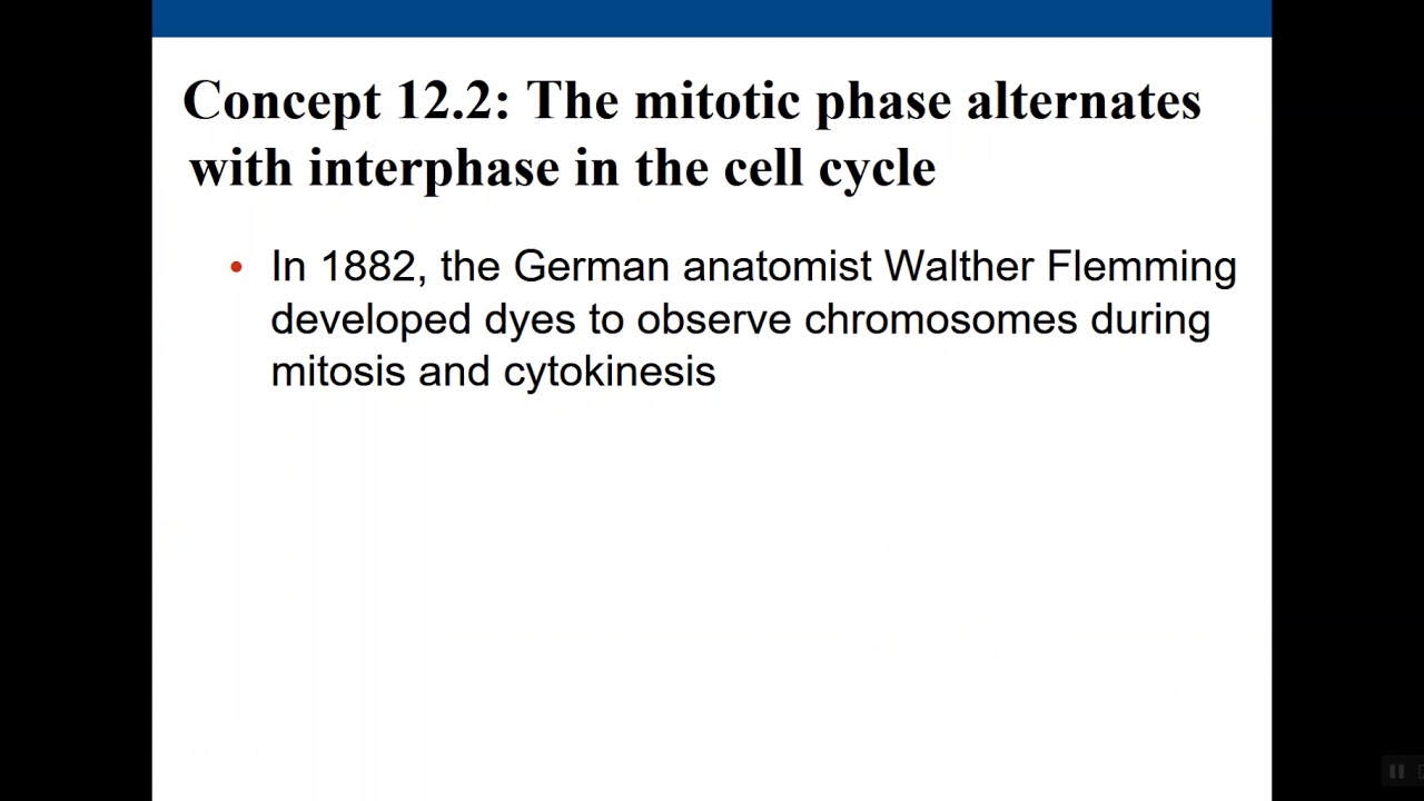 biology chapter 12 mitosis part 2