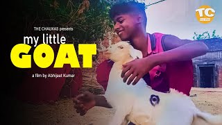 My Little Goat | Short Film | The Chaukas