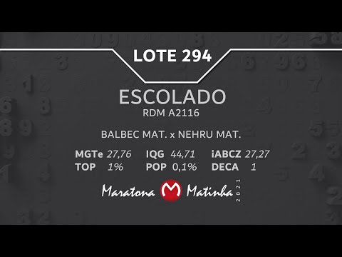 LOTE 294 Maratona Matinha