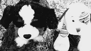 1940- Webkinz Music Video