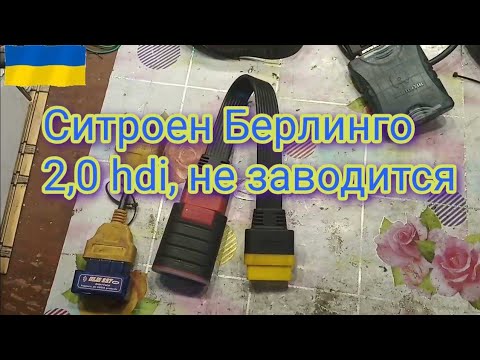Ситроен джампер не заводится Ситроен джампер не заводится