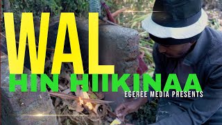 EGEREE COMEDY: WAL HIN HIIKINAA