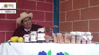 Orgullo Veracruzano - Cultivo de Canela en Tlachichilco