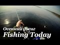 Как искать рыбу на водохранилище осенью - Fishing Today