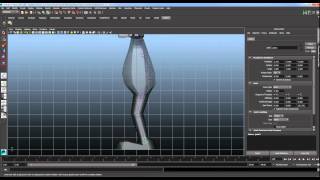 Chapter 8, Lesson 2 - Leg