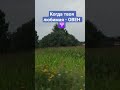 И не поспоришь #vlog #реки #рек #хочуврекомендации #хочуврек #vlogs #top #топ #rek #rekomendasi