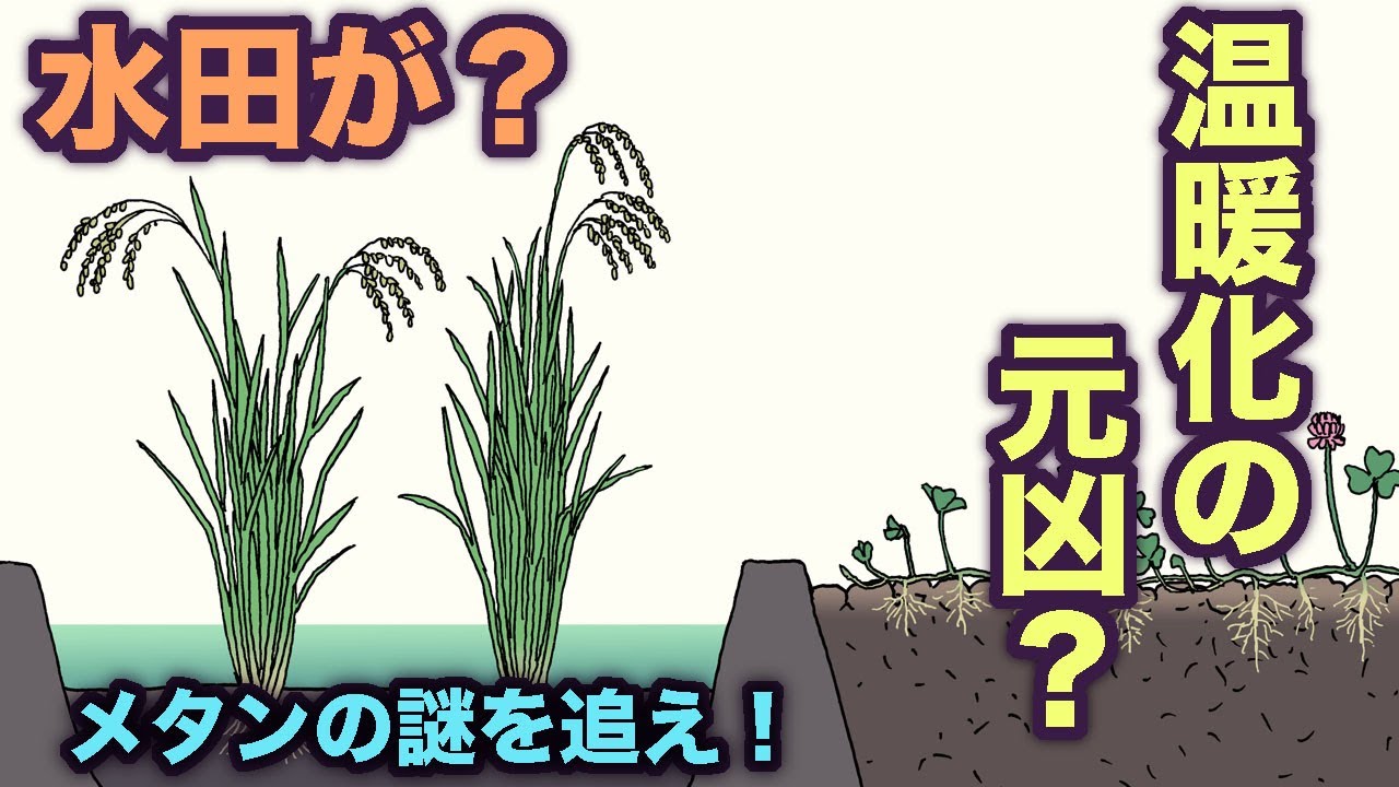 水田が温暖化の元凶？？　地球の歴史　その６６　ダボス会議でメタンガス発生源として槍玉に挙げられた水田。水田は地球温暖化の原因なのか？　その実情を探ります。